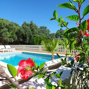 Panoramic Paradise Portogallo